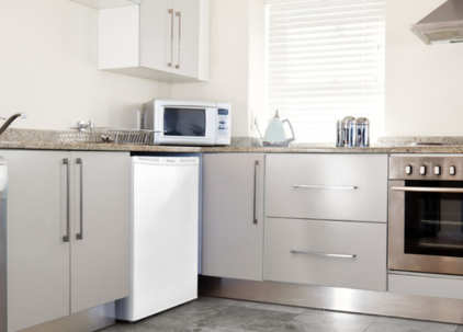 Freestanding Fridges